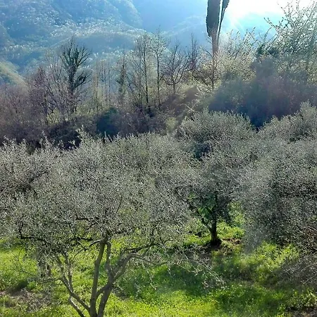 Casa Lavanda Tatil Evi *